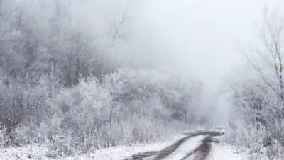 24kz, фото - Новости Zakon.kz от 16.12.2020 10:08