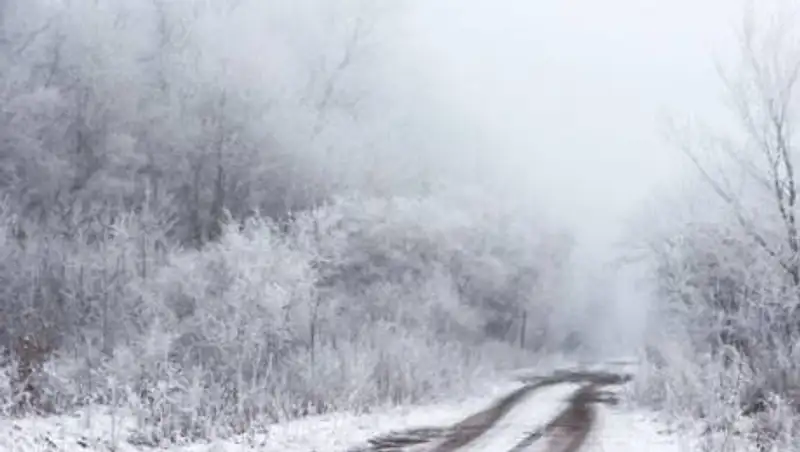 В пяти областях Казахстана объявлено штормовое предупреждение