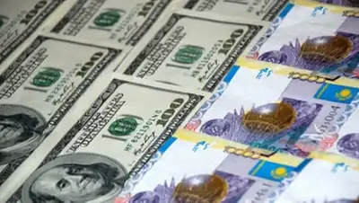 Zakon.kz, фото - Новости Zakon.kz от 11.11.2014 19:26