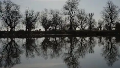 Zakon.kz, фото - Новости Zakon.kz от 23.02.2017 02:42