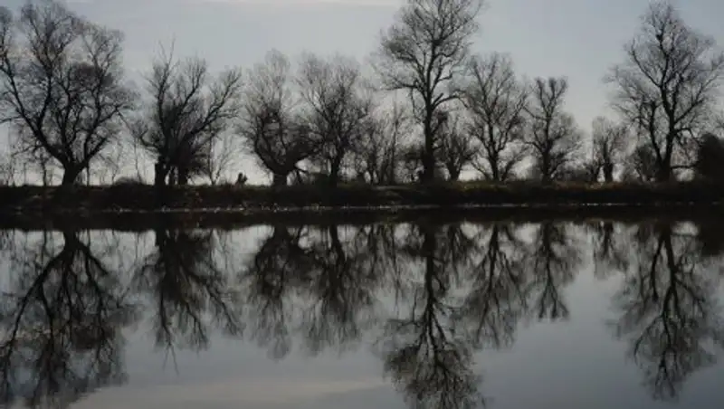 В СКО мужчина убил бывшую жену и утопил ее тело в реке
