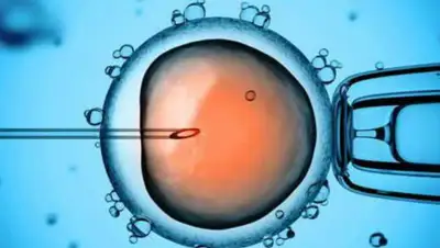 Youtube, фото - Новости Zakon.kz от 27.06.2019 06:28