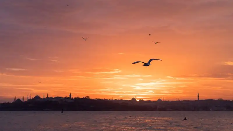 Босфорский пролив закрыли для движения судов из-за тумана