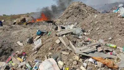 Мусорные полигоны Кызылорды, костры и бродячий скот, фото - Новости Zakon.kz от 21.09.2023 15:15