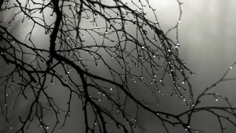 Пасмурная погода с осадками ожидается в Казахстане