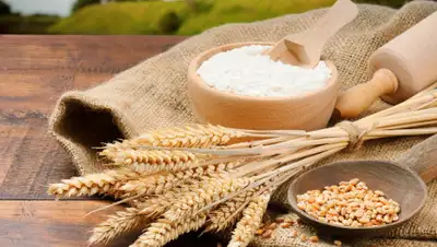 44030.kz, фото - Новости Zakon.kz от 03.04.2019 12:58