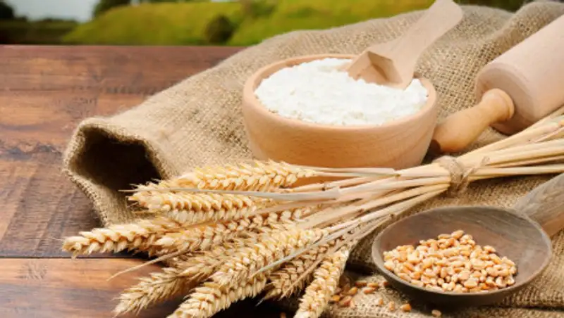 В Минсельхозе назвали главные экспортные товары и рынки их сбыта