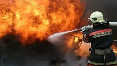 Zakon.kz, фото - Новости Zakon.kz от 05.02.2014 05:09