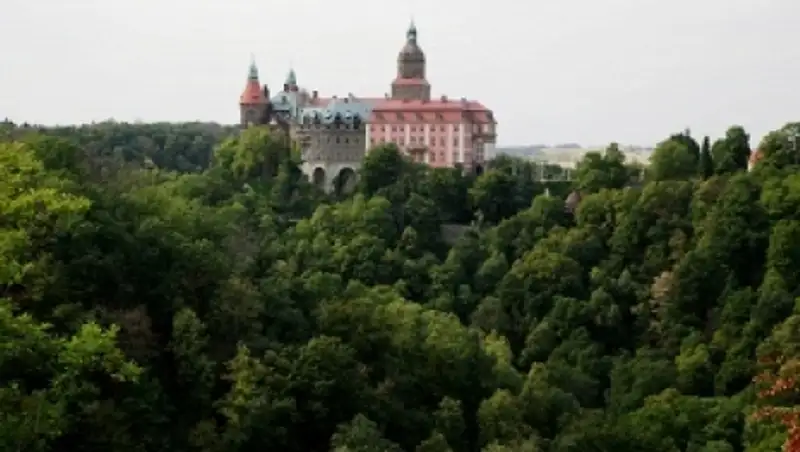 Власти на юго-западе Польши не могут подтвердить обнаружение "золотого поезда"