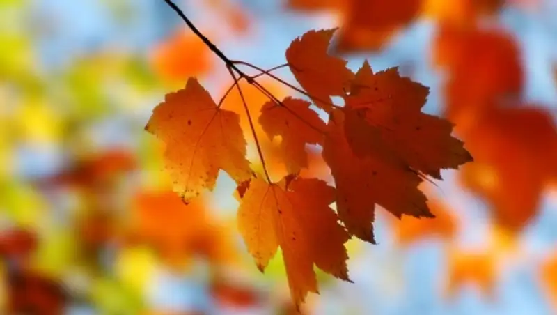 7 сентября на большей части Казахстана ожидается погода без осадков