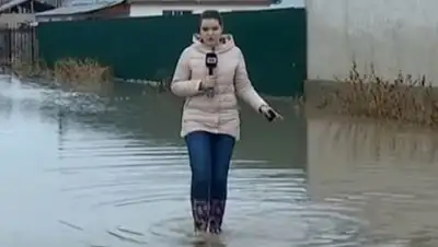 Скриншот с видео, фото - Новости Zakon.kz от 28.02.2018 00:04