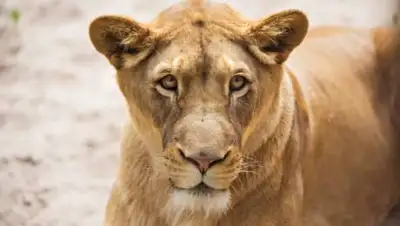 freepik.com, фото - Новости Zakon.kz от 08.06.2021 09:54