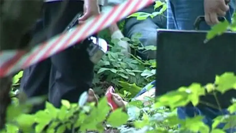 В Москве прохожий обнаружил в районе парка «Лосиный остров» тело без рук и ног