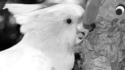 Zakon.kz, фото - Новости Zakon.kz от 01.09.2016 00:14