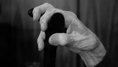 старость, возраст, фото - Новости Zakon.kz от 18.12.2021 15:19