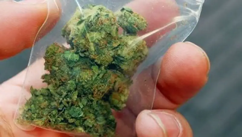 В Шымкенте задержали двоих наркодилеров