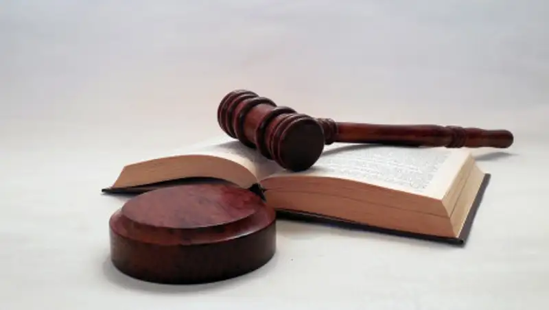 Гендиректор нацпарка осужден за мошенничество в Шымкенте