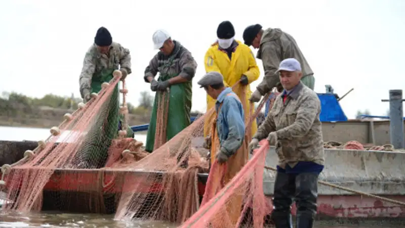В Атырауской области на 800 тонн увеличилась добыча рыбы