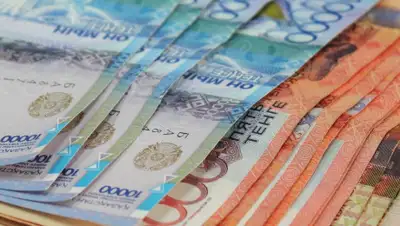 yvision.kz, фото - Новости Zakon.kz от 15.11.2019 12:03