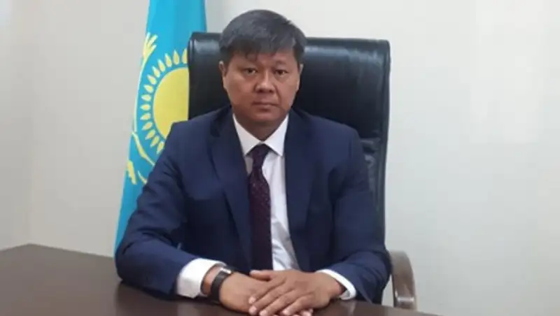 У олимпийского чемпиона Серика Сапиева новый заместитель