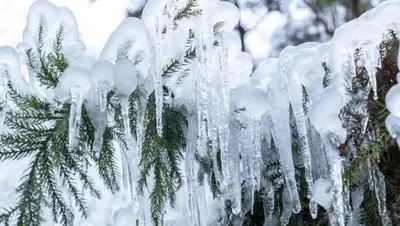 utro.ru, фото - Новости Zakon.kz от 20.11.2019 06:45