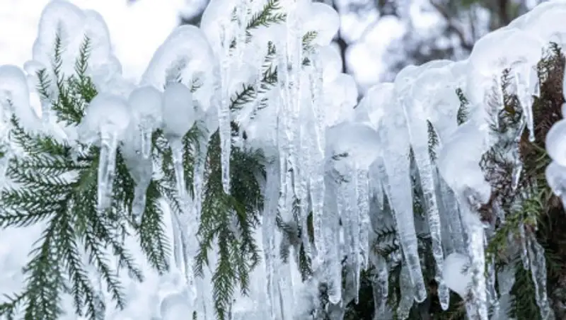 Аномальные морозы надвигаются на Казахстан