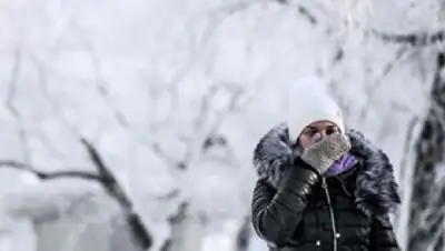 Zakon.kz, фото - Новости Zakon.kz от 21.11.2015 00:01