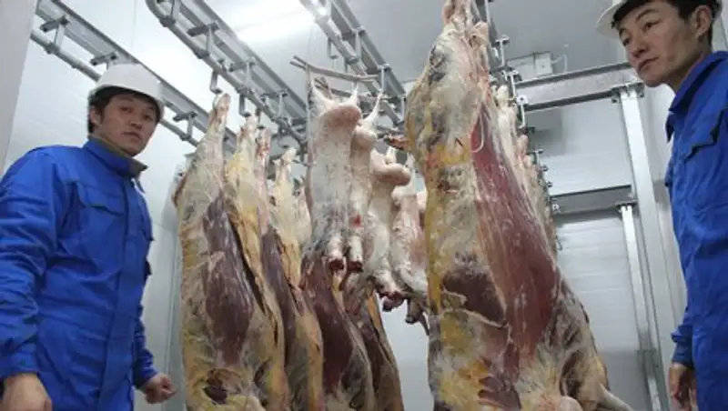 Мясоперерабатывающий комплекс в Акмолинской области начал отгрузку продукции в Астану