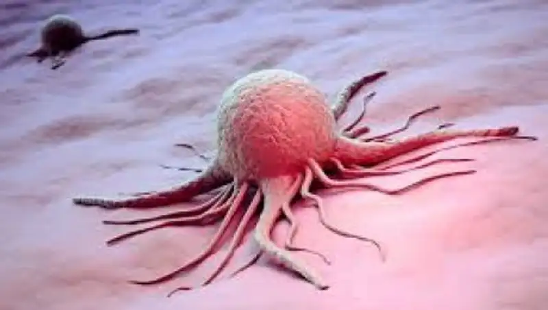 Что ежедневно убивает казахстанских женщин?