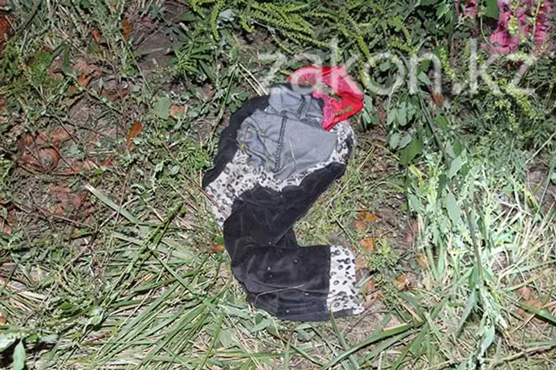 В Алматы мужчина, отсидевший за изнасилование, снова напал на женщину (фото) В Алматы мужчина, отсидевший за изнасилование, снова напал на женщину (фото), фото - Новости Zakon.kz от 18.09.2013 16:47