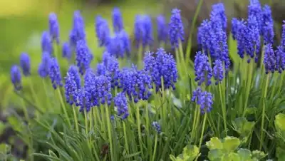 pixabay.com, фото - Новости Zakon.kz от 27.08.2021 17:06