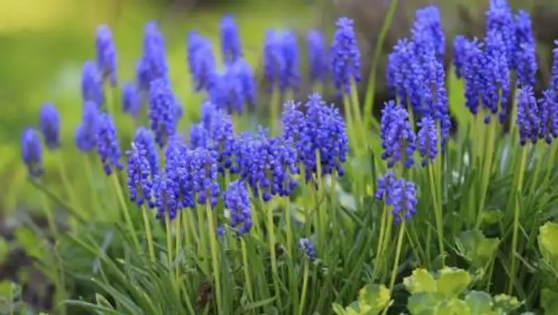 Какая погода ждет казахстанцев в субботу