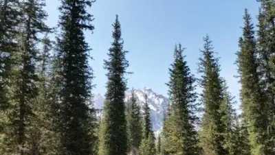 TripAdvisor, фото - Новости Zakon.kz от 30.08.2018 07:55