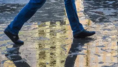 livekuban.ru, фото - Новости Zakon.kz от 06.04.2018 12:46