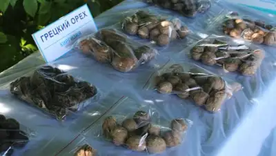 Zakon.kz, фото - Новости Zakon.kz от 02.06.2017 23:25