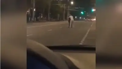 кадр видео, фото - Новости Zakon.kz от 22.07.2020 13:25