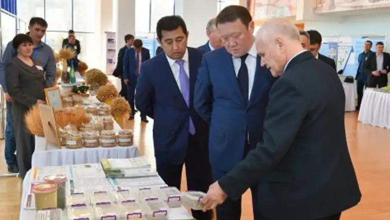 Аким СКО Кумар Аксакалов: 30% от всего производимого в стране зерна - это не предел при потенциале региона