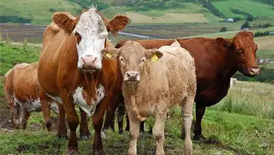 Zakon.kz, фото - Новости Zakon.kz от 15.10.2014 17:43