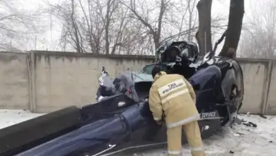 из открытых источников, фото - Новости Zakon.kz от 18.01.2019 18:09