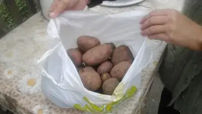 Zakon.kz, фото - Новости Zakon.kz от 04.10.2015 02:31