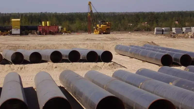 Земельные участки изымают в Алматинской области: люди собрались у здания акимата