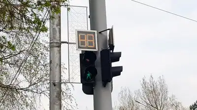 Двое пьяных мужчин пытались украсть светофор, фото - Новости Zakon.kz от 09.11.2023 14:35