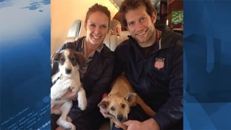 Американский хоккеист привез из Сочи на родину бездомных псов  