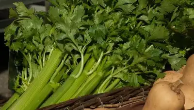 pixabay.com, фото - Новости Zakon.kz от 27.04.2021 11:08