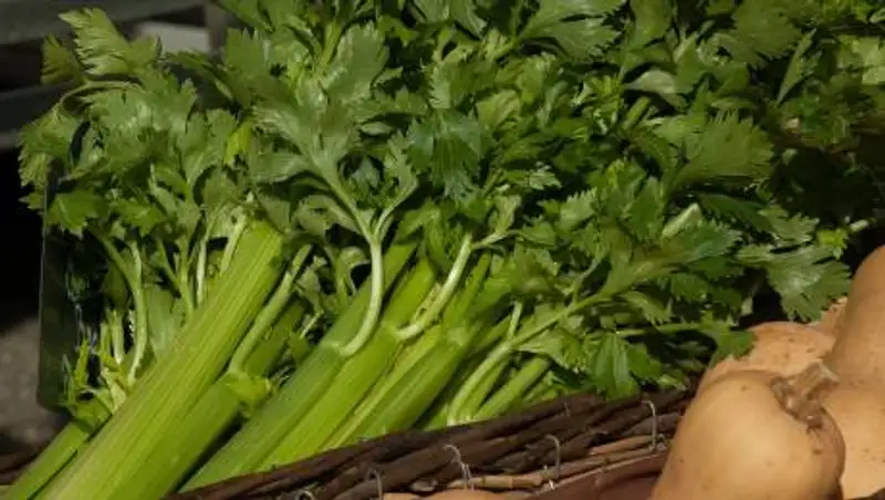 Названы идеальные продукты для "вечернего зажора"