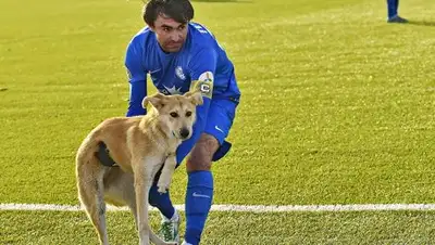 Zakon.kz, фото - Новости Zakon.kz от 31.10.2016 19:11