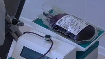 Zakon.kz, фото - Новости Zakon.kz от 05.08.2015 20:57