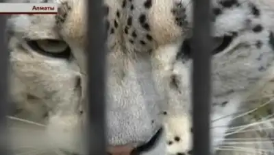 Zakon.kz, фото - Новости Zakon.kz от 10.03.2016 05:01