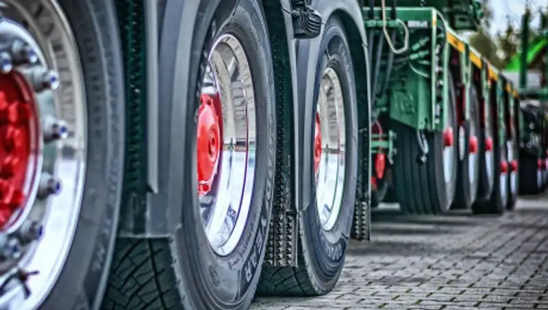 Нарушения при ввозе товаров из Кыргызстана выявили налоговики