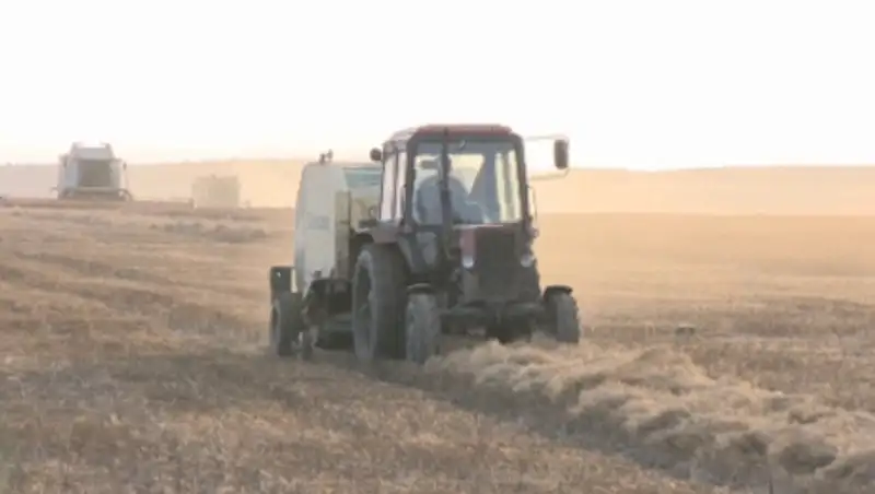 Новый вид топлива изобрели в селе Викторовка Акмолинской области, фото - Новости Zakon.kz от 24.11.2013 21:03